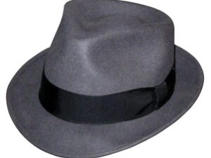 Fedora Style Hat