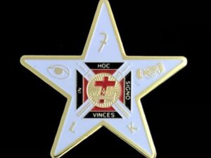 Lady Knight Templar Lapel Pin New