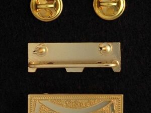 Fraternal Jewel Bar Gold New