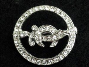 Shrine Shriner Lady Rhinestone Pin New