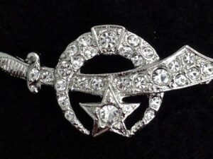 Shrine Shriner Lady Rhinestone Brooch Pin New
