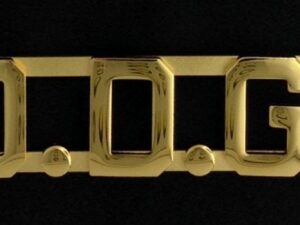 Past District Deputy Grand Commander Pin