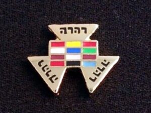 Royal Arch Past High Priest Lapel Pin New