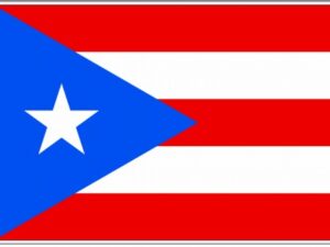 Puerto Rico Flag Outdoor