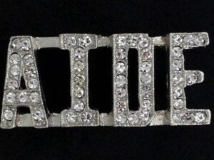 Shrine Shriner Aide Fez Pin New