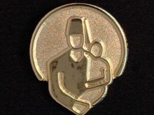 Shriners Hospital For Children Lapel Pin Gold New