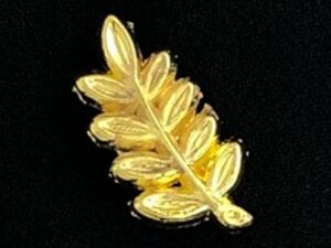 Masonic Sprig of Acacia Lapel Pin