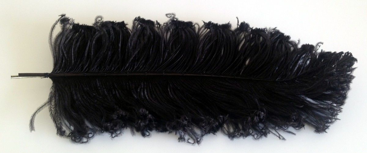 Check to add Under Plume +$45.00